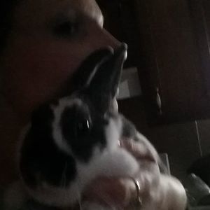 Meet your Posher, Pauline